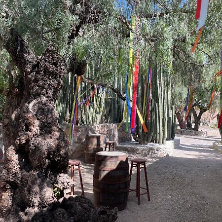 Boutique La Posada De Don Luis Бернал Екстериор снимка